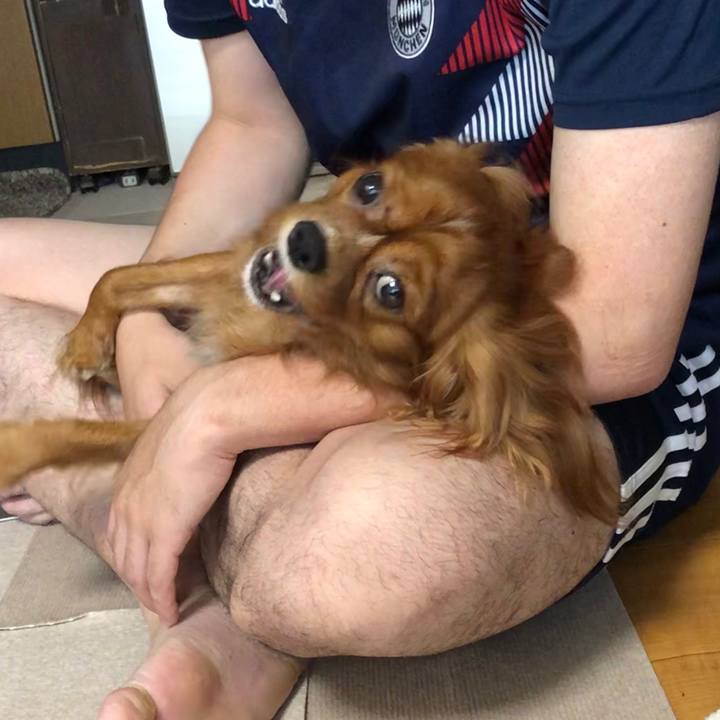 16157072 23ff 410f 9b6c da6c5dc998f7 1563315806959