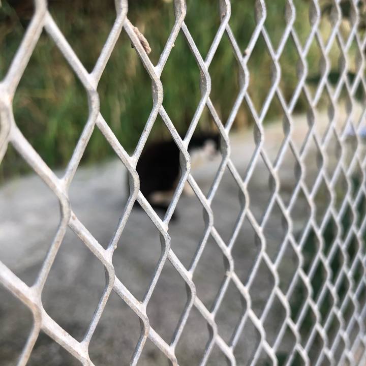 16157b46 2766 4faf 88bd eb41ab842acc 1599973573208