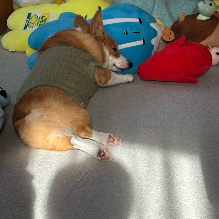 1615d3e3 be9b 4a57 b491 617f4d37b209 1764220224668