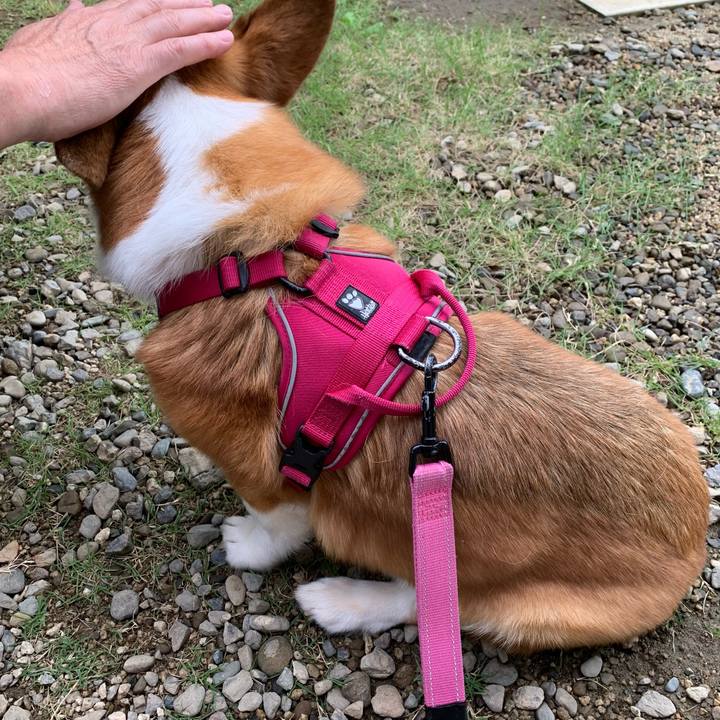 1615de9c fd8f 4a5b bb73 a4990611381f 1653983335687