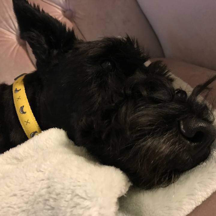 1616254f bf25 4eba 9136 cb68a6c629b8 1571958961420