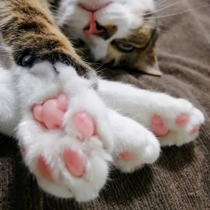 161646b6 8e3b 41fe 962f 18f1da05fd9f 1724414547357