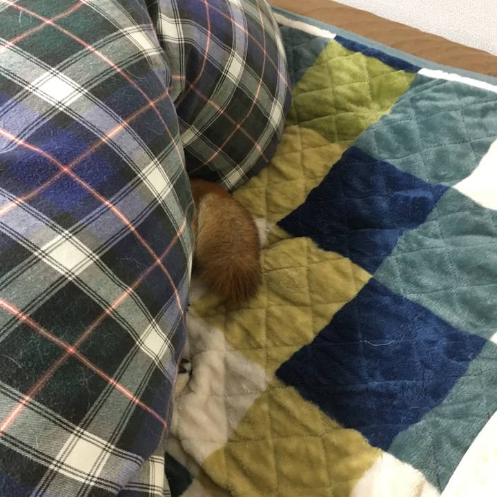 16164ddb b4c0 46ba aaf4 9131284e62c8 1513598802717