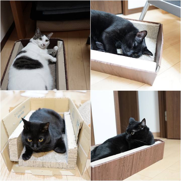 16166328 b7c4 4e61 8866 3f0767554917 1560814514185