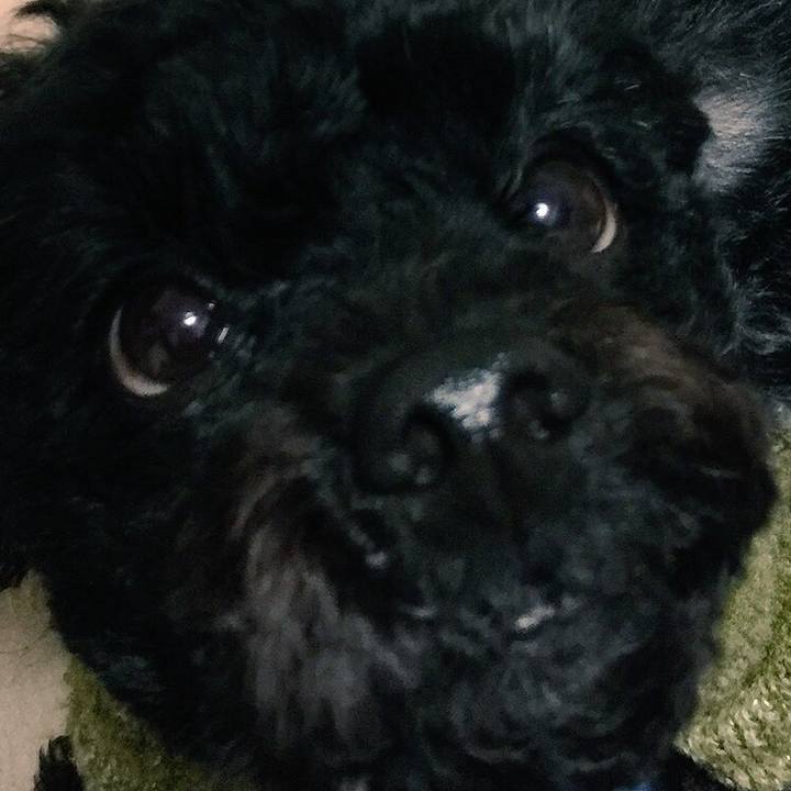 1616640e d40a 41f6 8c0c f88d3818b03b 1517698708775