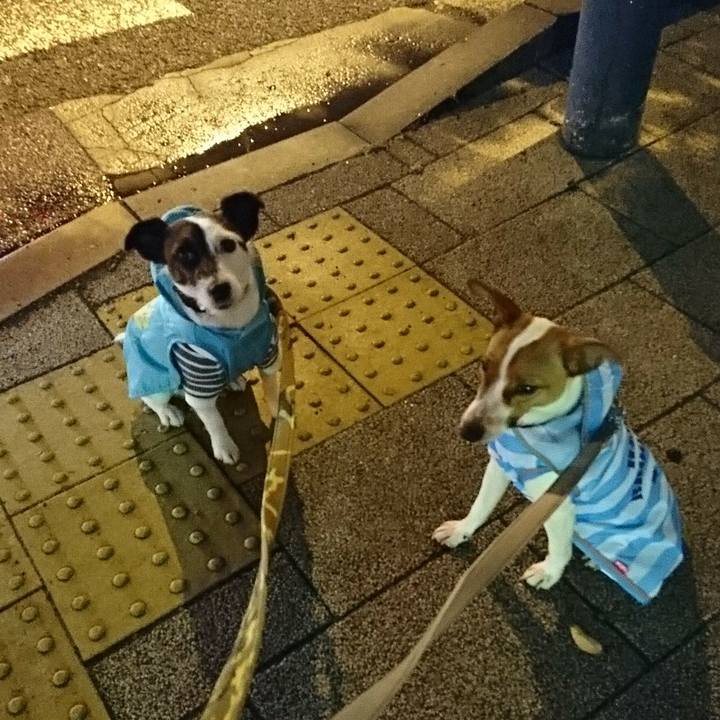 16166b82 dc0f 4a39 a85b 1aefc738889a 1525262891682