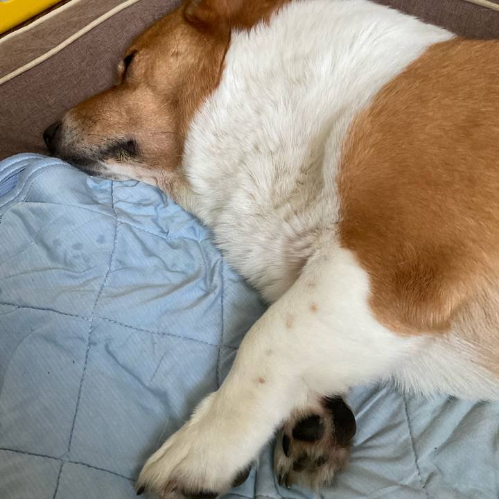 1616b1b8 c0b2 48a8 90a1 b06c35725081 1752893966024