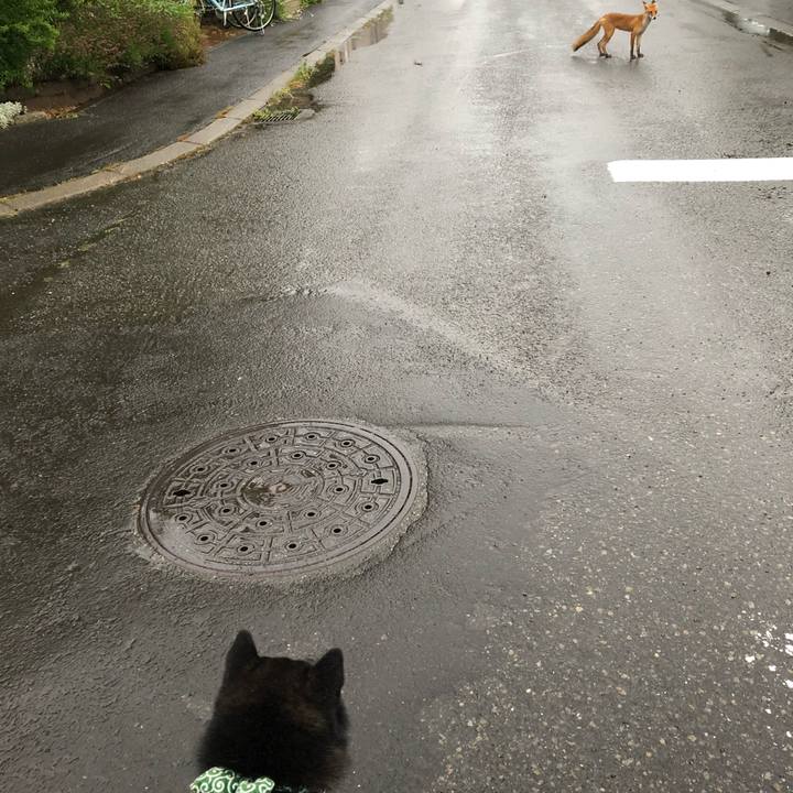 1616d36a 41f6 4a9e acb5 25efb627c27a 1533850280897