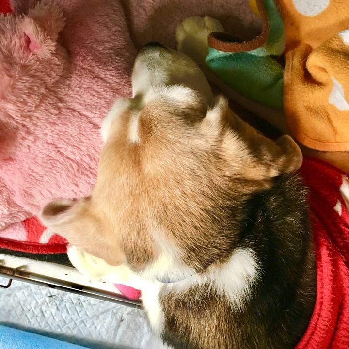 16172127 f4be 4879 9a22 577a93063366 1765032616110