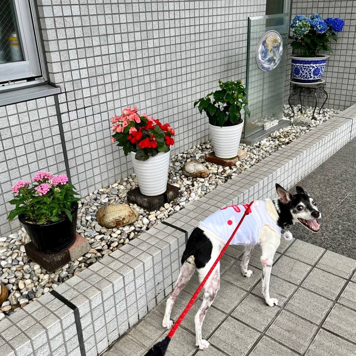 1617220a aa87 421e 90b7 a703c63fc263 1658059292964