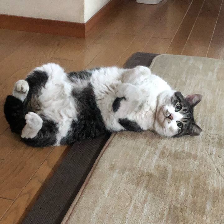 16172de6 faa2 419a 931c aa0cb4387914 1554016077225