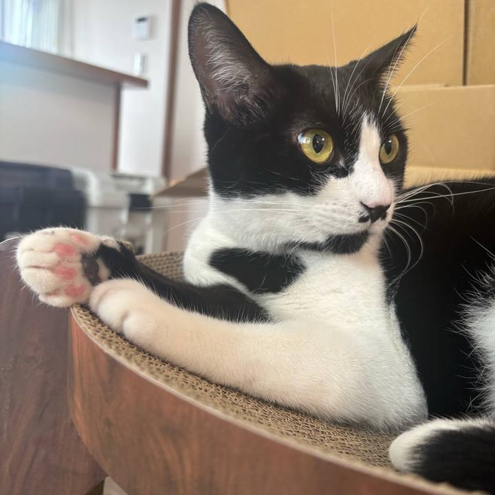 16175a8d f897 43cd a528 60c1ab9b247a 1759886126234