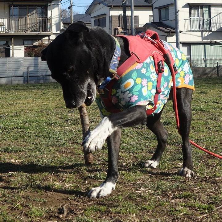 16177ece 109a 4b0f ad4c 1539bd7731b1 1677462867419