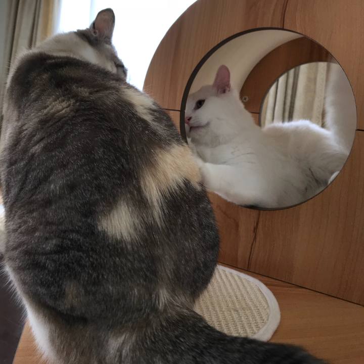 1617b287 e73c 4abb 8d71 71090df00eec 1524456898696