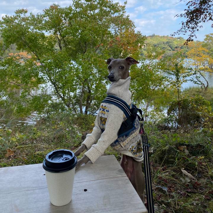 1617e4f7 c1a9 461c b7c4 ab1a3b06cb9c 1762579407673