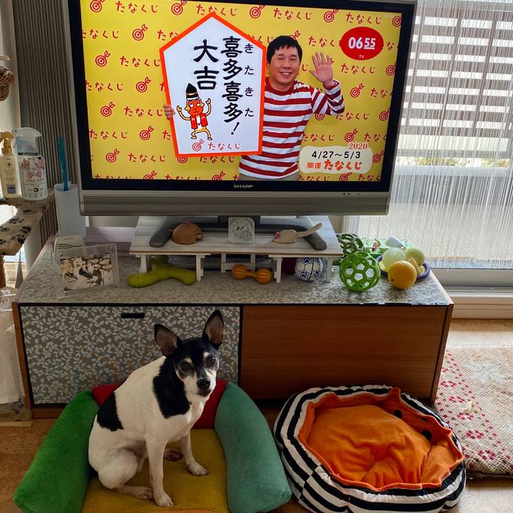 1618406d d867 482a 9f14 a053c8287446 1587938968407