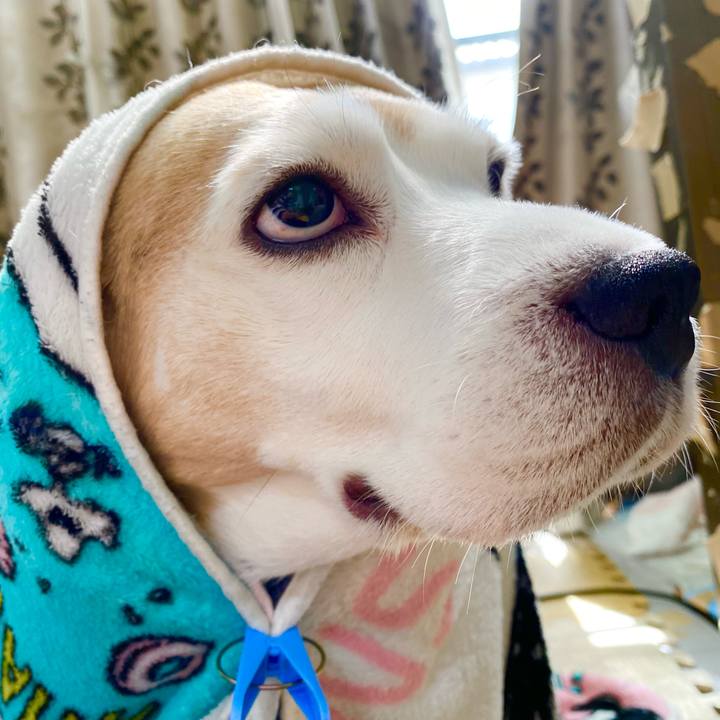 1618678b 8a9a 47dd b47a 84cafbbb839a 1616481453786