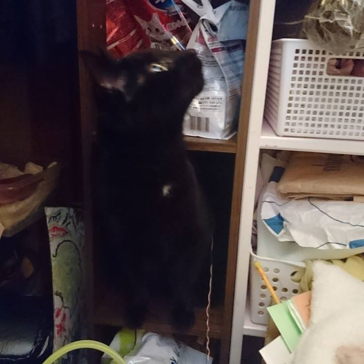 1618b331 131c 42c4 8ac8 877792b04f92 1623796554032