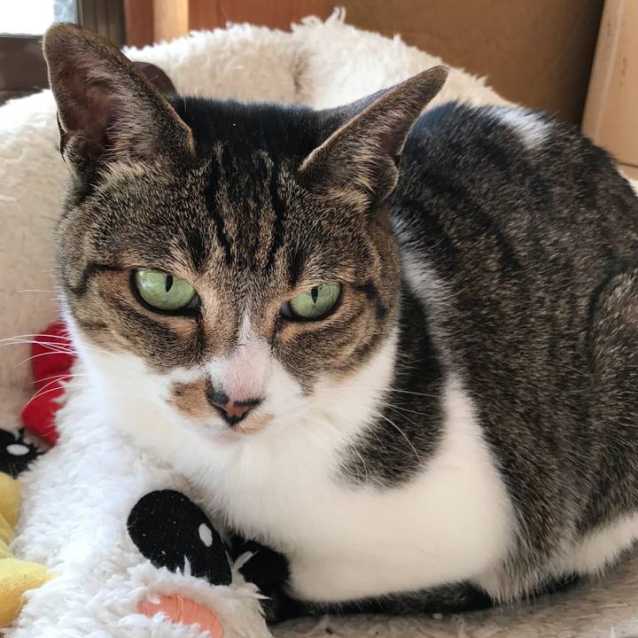 16190fd6 6d44 401e a19d df48ffc6df10 1523582759349