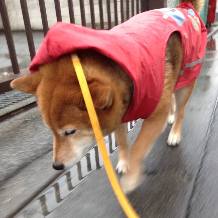 16192d02 00fb 4adb b86a e856e2351959 1521620567790