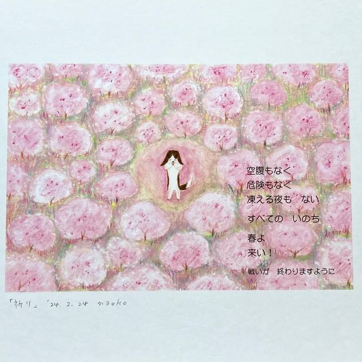 1619304b 4d43 407b 968c 5ff762d8bf9b 1718367579848