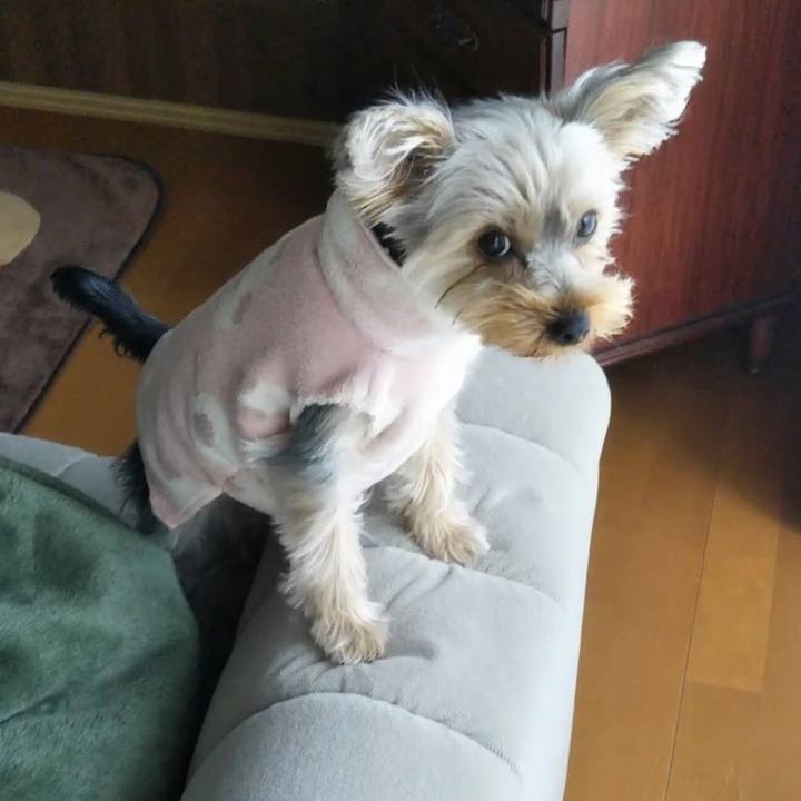 161982f5 506a 4e5d 87ad 1ba388ad99f5 1550453832219