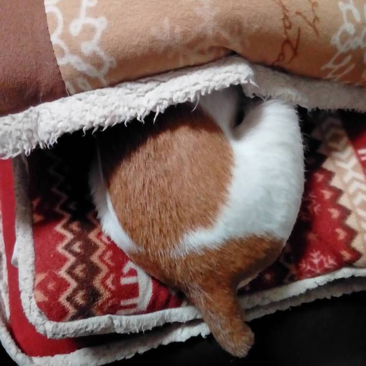 16199cc5 d8ab 41a4 9098 235dc2247615 1568373034406