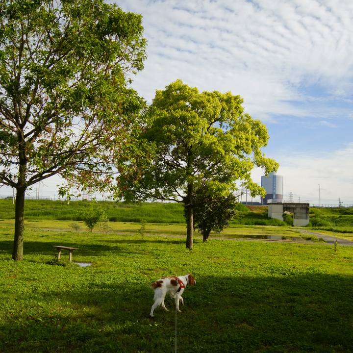 161a1ed4 ac1c 44fa 9d8b 55f41097ba40 1525753974882