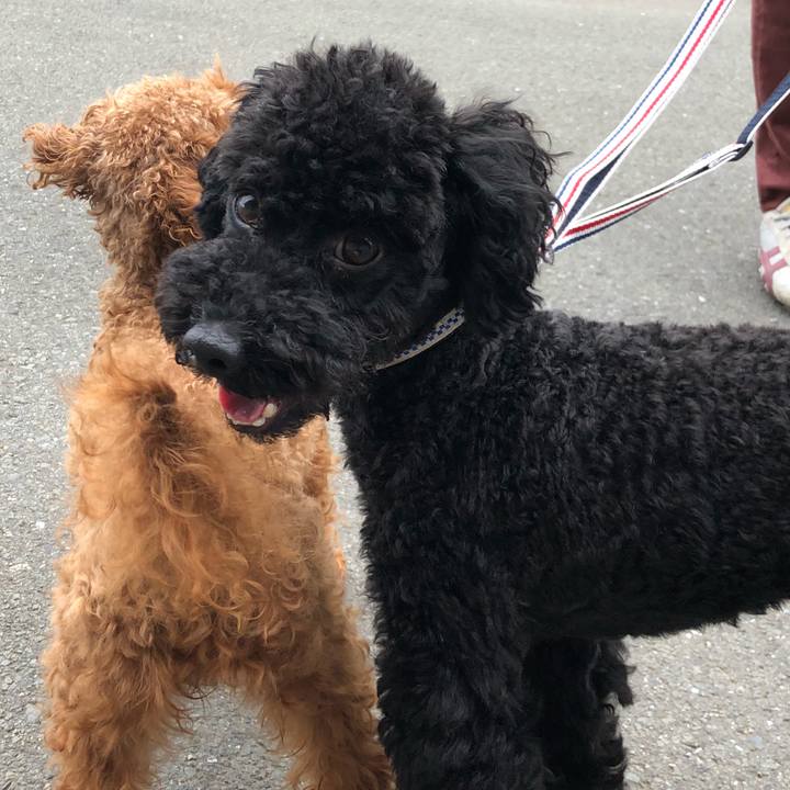 161a300b 43a3 47fc 8663 ddc1c34bf17d 1529220698533