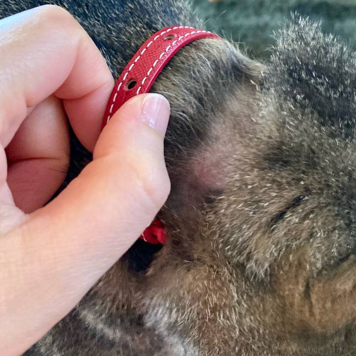 161a706f b1b5 4f0a ae5a b812db211783 1653722947829