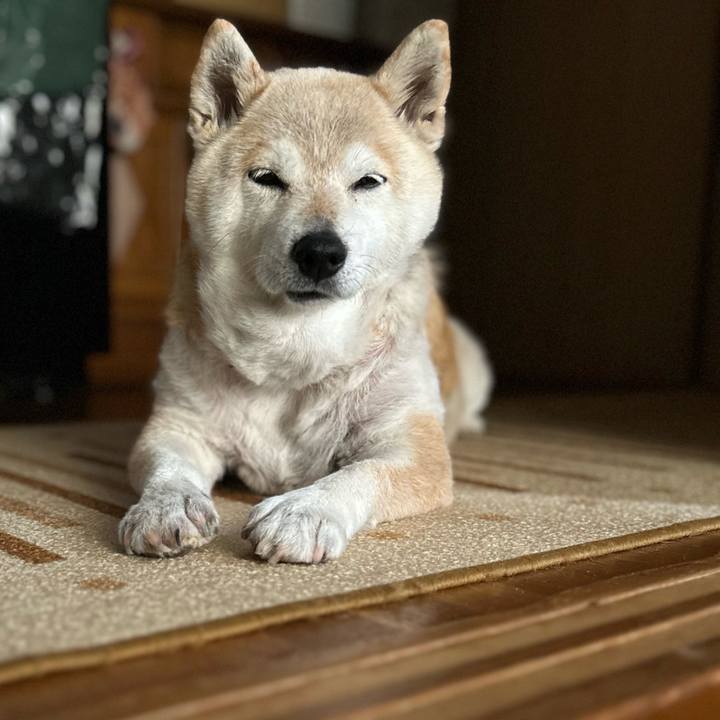 161a9ed0 aa72 49c6 99c3 ffde63681960 1748668859237