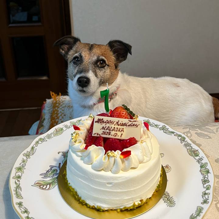 161acb2f 2093 4176 9984 0d7556dac4f2 1701434689856