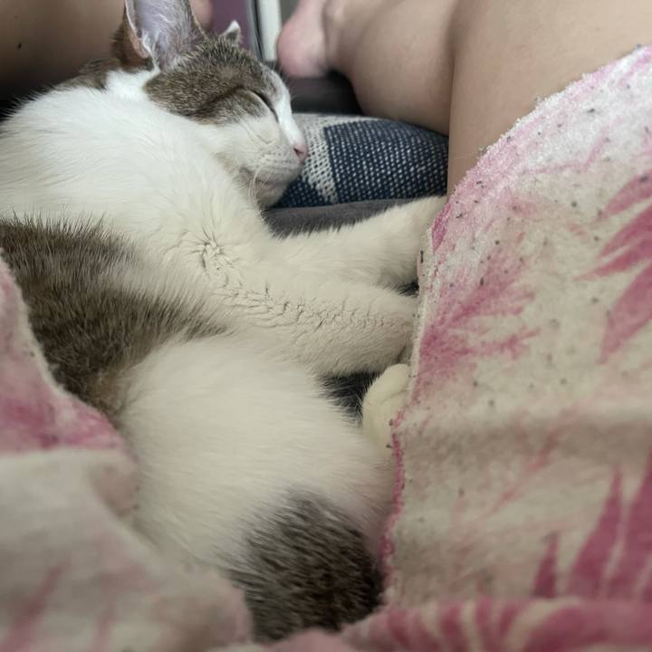 161aef96 1ab0 4e8e 8719 35899b2e8a14 1627113501685