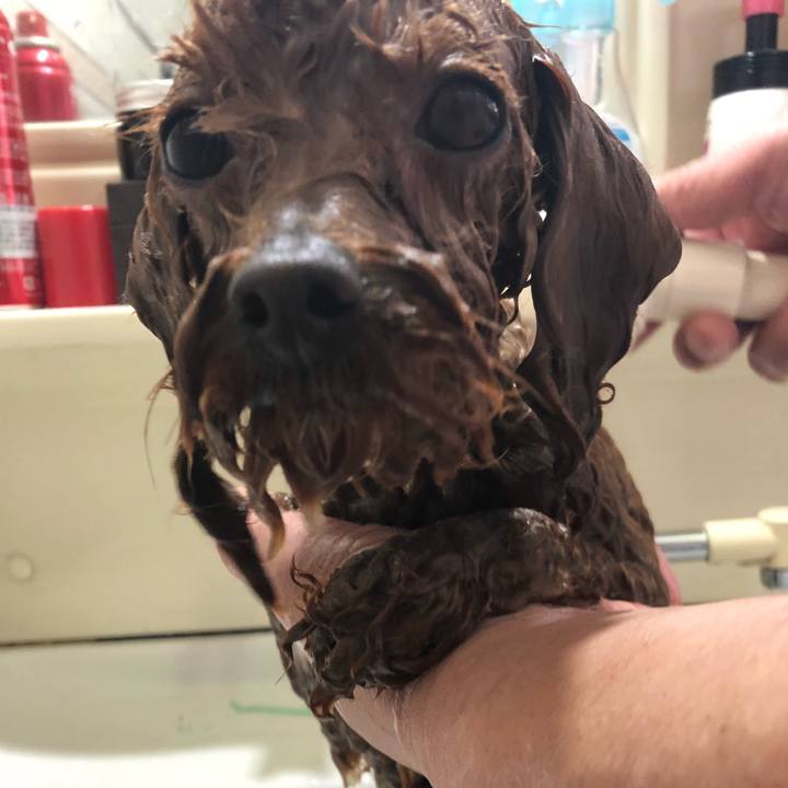 161af045 6259 4197 bf1d 89c64308cb72 1523173702134