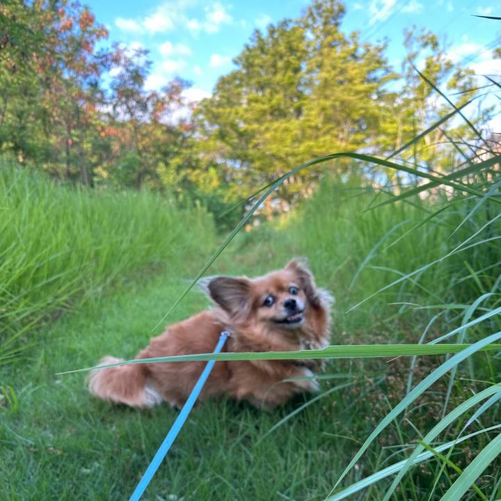 161b00af d885 4066 af4c 3b931b155b40 1722289706887