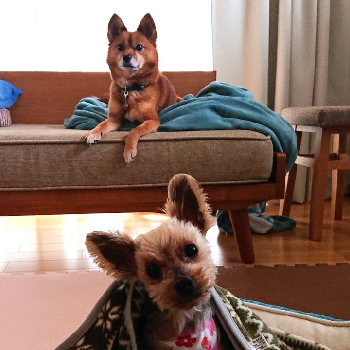 161b2396 f49c 456b 9d2d a331b6ec9329 1586694799179