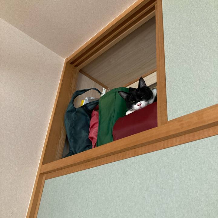 161b2bf1 085e 4ec6 a33e 06ee297ad13d 1651632701109