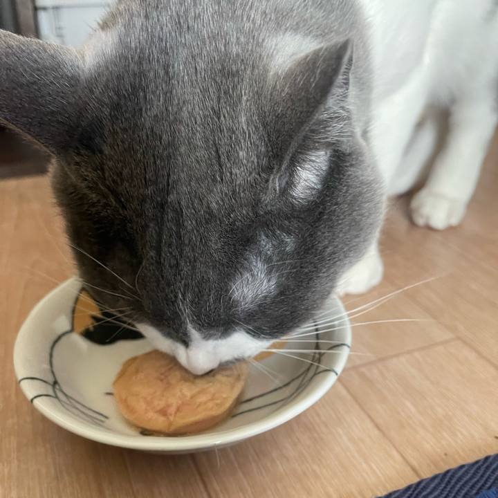 161b3d29 9f27 440c 858e 9869e3f3ae10 1677046667576