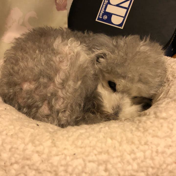 161b64bd a89d 46d6 9113 4b8417d0a5b5 1612223615049