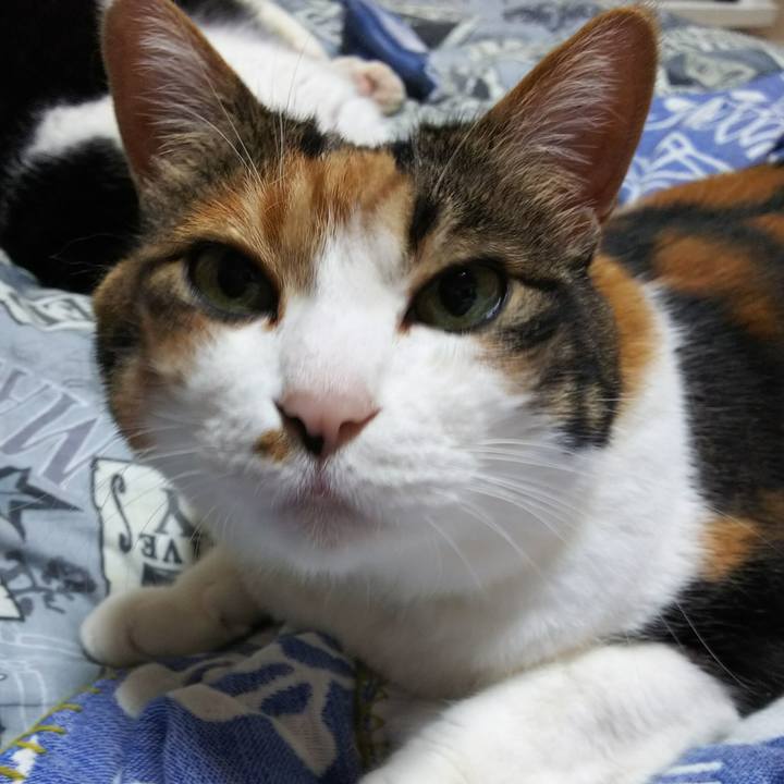 161b74a5 8b41 4dd6 aafd b672ee0328e5 1528463997414