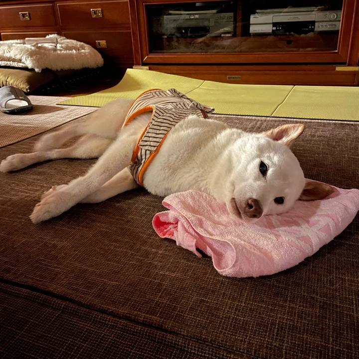 161b7a7a cb39 4353 9867 2e5a704297d3 1660412319280