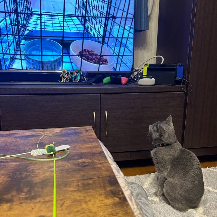 161b977b 3501 4eb4 b8d1 f108d0afacef 1699955608621