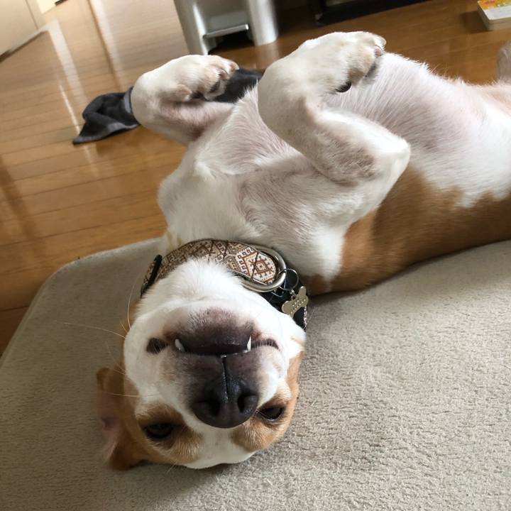 161b9a72 e1fc 404b a380 f2671916d75c 1656478566757