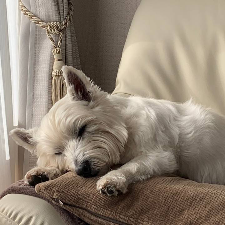 161bbbf5 44c3 4f8a 9c01 840733c1427b 1579920442303