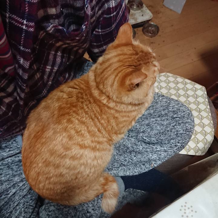 161c18de 02b6 4d3b b9dc 8cd5bec1a281 1650489404511