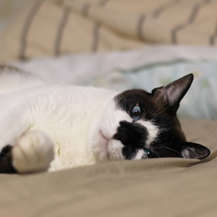 161c25a2 3340 4135 a87d b2815899ca1b 1510677986985