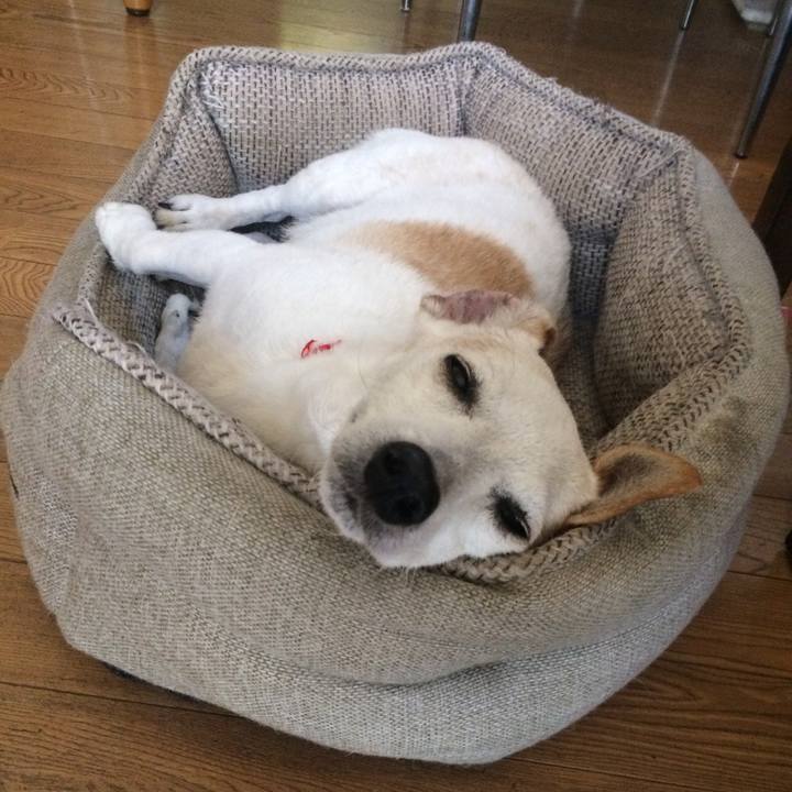 161c5ee6 48e5 4aa8 9af7 73b10eeded90 1556794820990