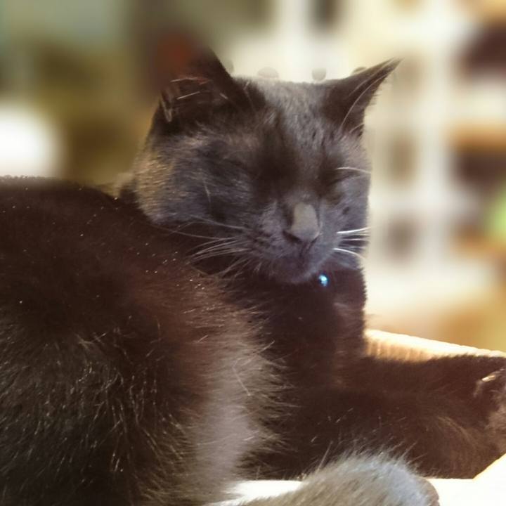 161c895a 9dc7 4041 ba3a 4b991179d77e 1516887696296