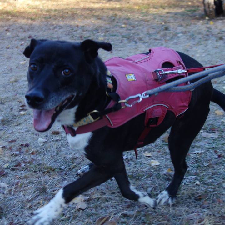 161c8af5 9bcb 469b 9dde c4a7596a502b 1701476563261