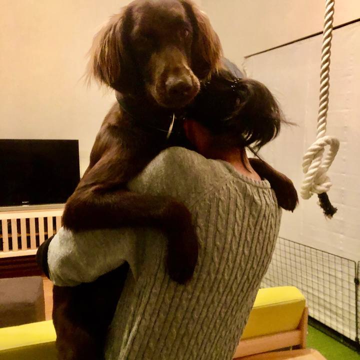 161c90c4 48e8 464c b4fd fe350fb7fbe5 1585215869876